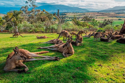 Five Of Hobart's Best In One Day - Tourism TAS 1