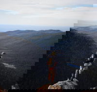 Mount Field National Park - Tarn Shelf  Russell Falls - Guided Hiking Tour - Hobart Tourism