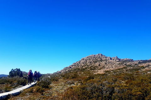 Mount Field National Park - Tarn Shelf & Russell Falls - Guided Hiking Tour - Hobart Tourism 6