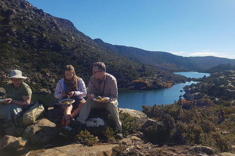 Mount Field National Park - Tarn Shelf & Russell Falls - Guided Hiking Tour - Hobart Tourism 8