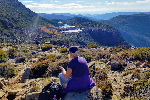 Mount Field National Park - Tarn Shelf & Russell Falls - Guided Hiking Tour - Hobart Tourism 11