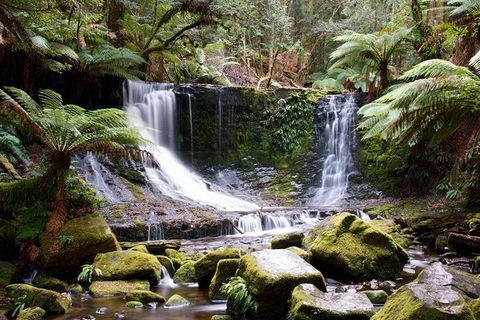 Mount Field National Park - Tarn Shelf & Russell Falls - Guided Hiking Tour - Hobart Tourism 10
