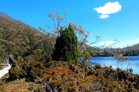 Mount Field National Park - Tarn Shelf & Russell Falls - Guided Hiking Tour - Hobart Tourism 3