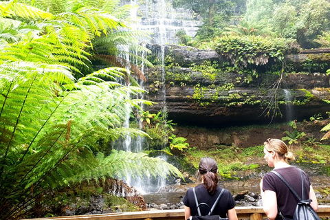 Mount Field National Park - Tarn Shelf & Russell Falls - Guided Hiking Tour - Hobart Tourism 4