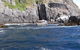 Day Trip To Tasman Peninsula And Port Arthur Historic Site From Hobart - thumb 5