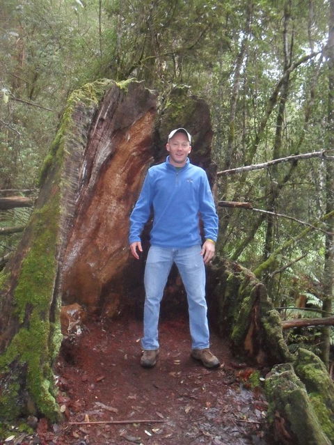 Mt Field National Park And Russell Falls From Hobart - Hobart Tourism 6