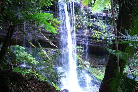 Mt Field National Park And Russell Falls From Hobart - Hobart Tourism 1