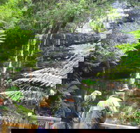 Mt Field National Park and Russell Falls from Hobart - Hobart Tourism