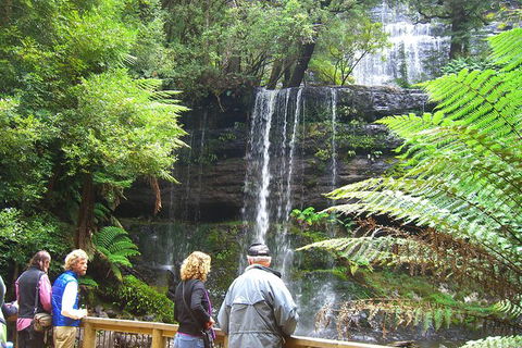 Mt Field National Park And Russell Falls From Hobart - Hobart Tourism 0