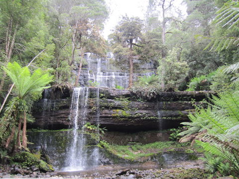 Mt Field National Park And Russell Falls From Hobart - Hobart Tourism 4