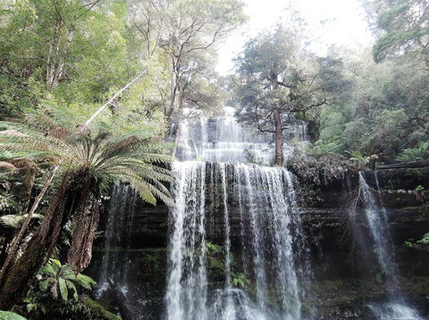 Mt Field National Park And Russell Falls From Hobart - Hobart Tourism 3