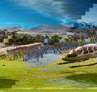 Frogmore Creek Winery by Helicopter with Lunch - Hobart Tourism