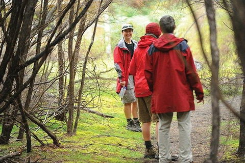 Great Walks Of Australia: 4-Day Freycinet Experience Walk - Hobart Tourism 7
