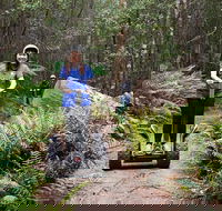 Hollybank Wilderness Adventures - Segway Tour - Hobart Tourism