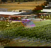 Home Hill Winery Helicopter Tour - Hobart Tourism