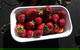 Agrarian Kitchen Eatery And Derwent Valley Gourmet Food Tour - thumb 8