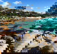 4-Day Tasmania East Coast Adventure from Launceston to Hobart Including Bay of Fires Wineglass Bay Bruny Island and Port Arthu - Hobart Tourism