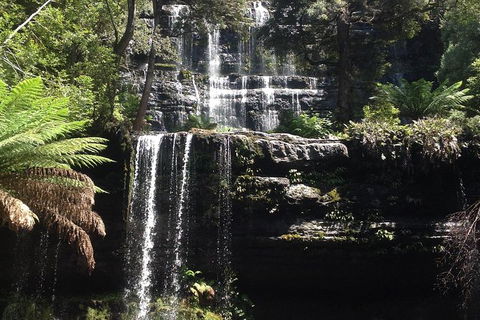 Private Mt Field National Park Day Trip From Hobart Including Salmon Ponds And Bonorong Wildlife Sanctuary - Hobart Tourism 0