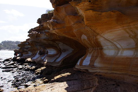 Maria Island National Park - Day Walk And Picnic Lunch - Hobart Tourism 17
