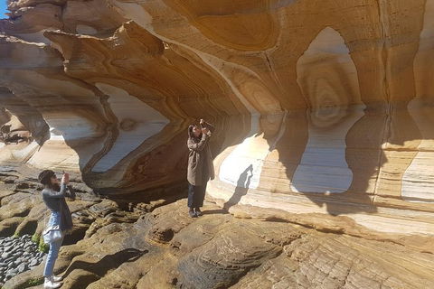 Maria Island National Park - Day Walk And Picnic Lunch - Hobart Tourism 3