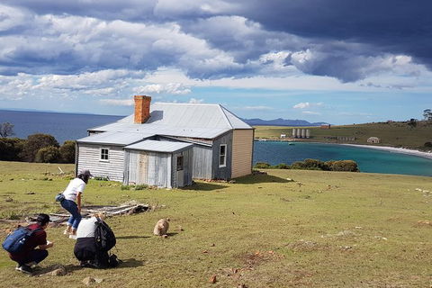 Maria Island National Park - Day Walk And Picnic Lunch - Hobart Tourism 16