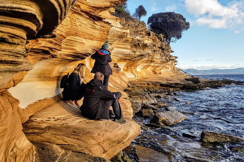 Maria Island National Park - Day Walk And Picnic Lunch - Hobart Tourism 22