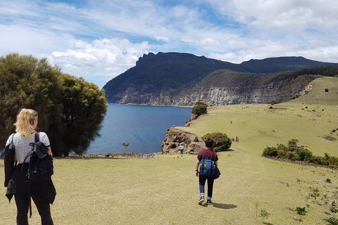 Maria Island National Park - Day Walk And Picnic Lunch - Hobart Tourism 6