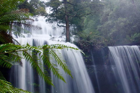 Mt. Field National Park And Bonorong Wildlife Park - Hobart Tourism 1