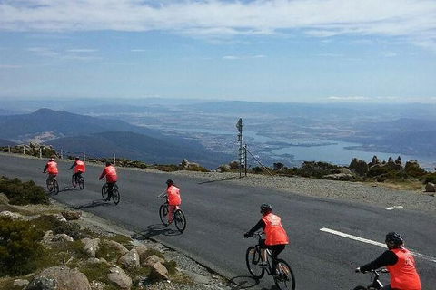 Mount Wellington Descent Cycling Tour Departs Hobart - Hobart Tourism 7