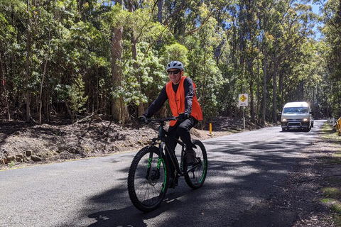 Mount Wellington Descent Cycling Tour Departs Hobart - Hobart Tourism 10