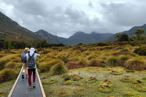 3 Day Tasmanian Wild West Coast Tour From Hobart To Launceston - Tourism TAS 5