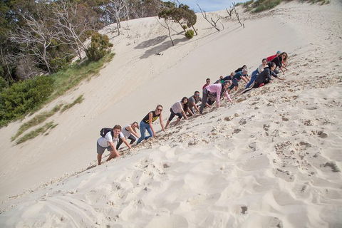3 Day Tasmanian Wild West Coast Tour From Hobart To Launceston - Tourism TAS 8