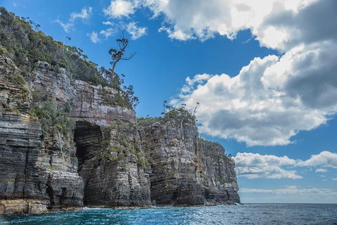 Shore Excursion - Port Arthur - Tasman Peninsula - Hobart Tourism 1