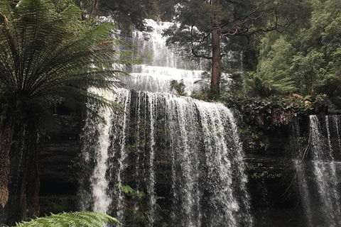 Wilderness And Wildlife - Tourism TAS 1