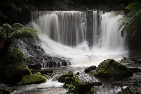 Mt Field National Park Premium Private Photo-oriented Day Tour From Hobart - Tourism TAS 0