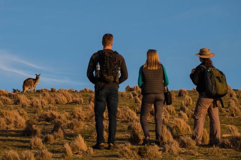 Small Group Tasmanias Wilderness And Wildlife Day Tour - Tourism TAS 0