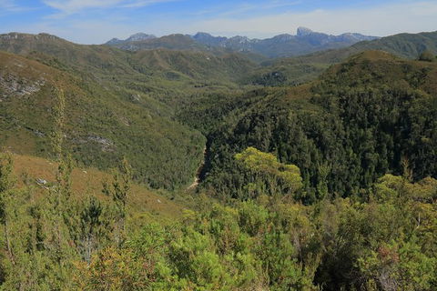 Lake St. Clair And Western Wilderness Active Day Trip From Hobart - Hobart Tourism 9