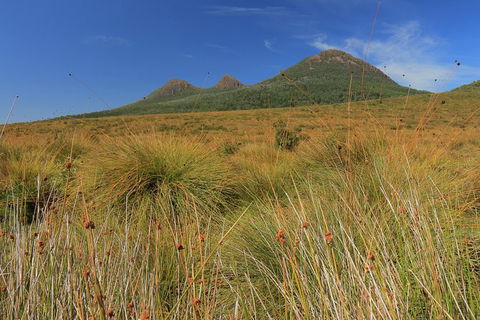 Lake St. Clair And Western Wilderness Active Day Trip From Hobart - Hobart Tourism 11