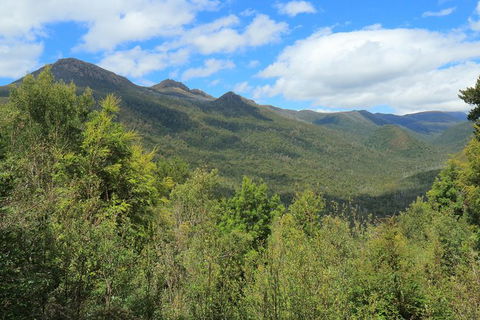 Lake St. Clair And Western Wilderness Active Day Trip From Hobart - Hobart Tourism 13