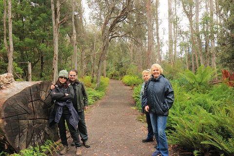 Lake St. Clair And Western Wilderness Active Day Trip From Hobart - Hobart Tourism 8