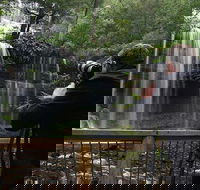 Mt Field and Styx Valley Photography Tour - Hobart Tourism