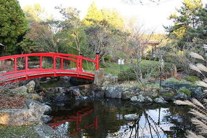 Small-group tour from Hobart: Native Flora and Fauna, incl. Royal Bot. Gardens