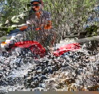Quad Bike 2-Hour Adventure Freycinet National Park - Hobart Tourism