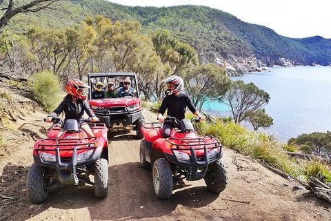 Quad Bike 2-Hour Adventure: Freycinet National Park - Tourism TAS 2