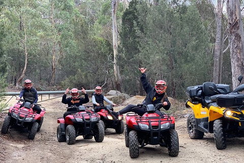 Quad Bike 2-Hour Adventure: Freycinet National Park - Tourism TAS 4