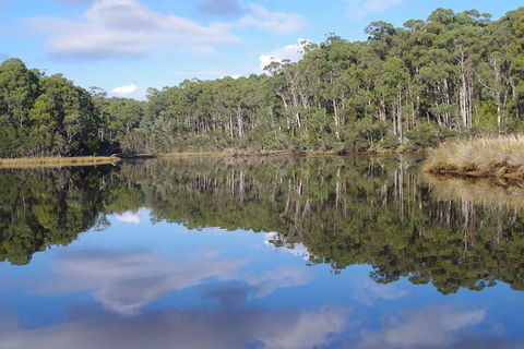 Leven River Picnic Cruise From Ulverstone - Hobart Tourism 1