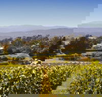 Josef Chromy Wines Winery Tour Including Tasting and Lunch - Hobart Tourism