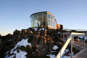 Cruise Ship Special ex Hobart: Mt Wellington, Richmond, Bonorong with free WiFi