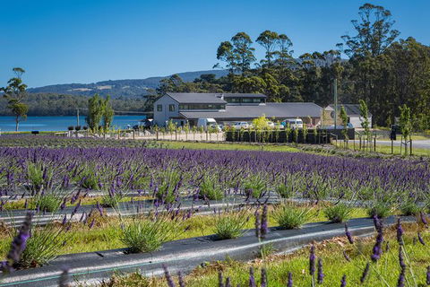 Private Tasman Peninsula Cruise Ship Tour From Port Arthur - Tourism TAS 0