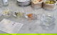 Hobart Small Group Wine Tour Sunday Afternoon: Wines, Gins & Cheeses - thumb 4